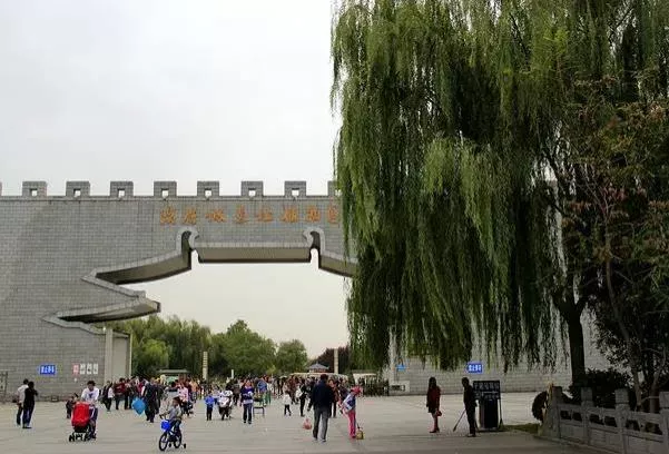 洛陽隋唐城遺址植物園露營(yíng)的地方在哪里