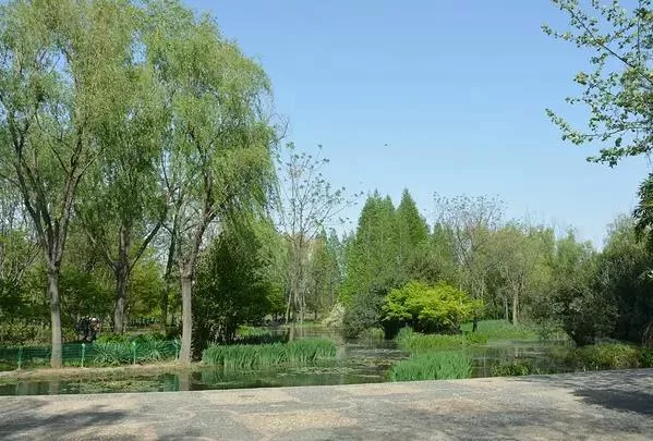 洛陽隋唐城遺址植物園露營(yíng)的地方在哪里