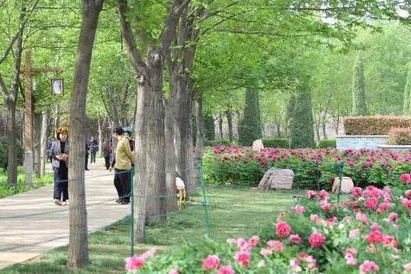 洛陽隋唐城遺址植物園露營(yíng)的地方在哪里